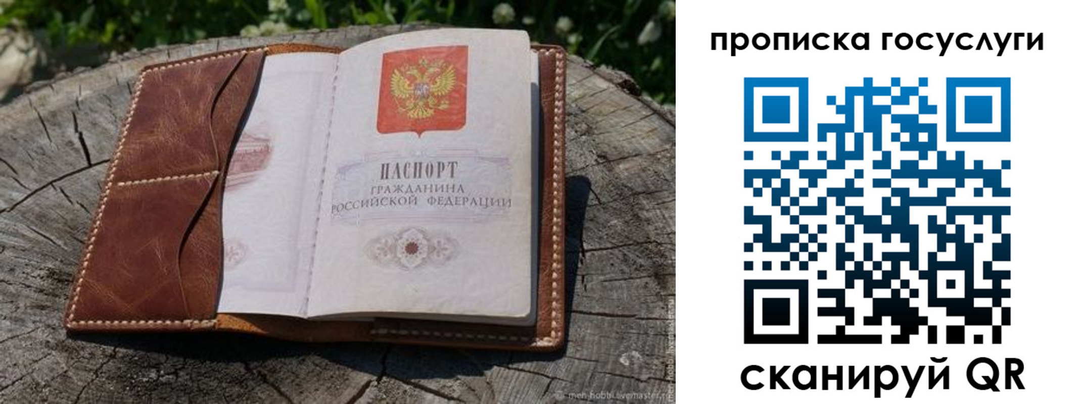 прописка для школы в Касимове
